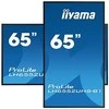 Monitorius iiyama ProLite LH6552UHS-B1