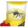 Moses Insect Observation Container + 3 LUPES ir dirbtinis voras