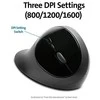 Kensington K75404EU kompiuterinė pelė RF belaidis + „Bluetooth“ 1600 DPI dešinei rankai