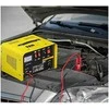 MSW Automobilio paleidimo lygintuvas krovimui 12/24V 30A, paleidimas 130A
