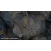 Binokuliarinis mikroskopas National Geographic 20x su mineralų mėginiais