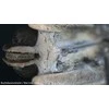 Bresser National Geographic Binokuliarinis mikroskopas National Geographic 20x su mineralų mėginiais