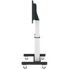 Laikiklis Neomounts NEWSTAR MOTORISED MOBILE FLOOR STAND - VESA 300X200 UP TO 1200X600 70-120" Sidabrinis