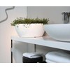 Nicoli ø60x24cm dubuo Thetis 60 baltos spalvos