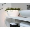 Nicoli ø60x24cm dubuo Thetis 60 baltos spalvos