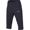 Nike Dri-FIT Academy M DR1365-451 Šortai
