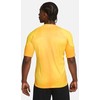 Vyriški marškinėliai Nike Dri-FIT Adv Gardien IV GK Jsyss geltona DH7760 719 (M)