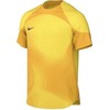 Vyriški marškinėliai Nike Dri-FIT Adv Gardien IV GK Jsyss geltona DH7760 719 (M)