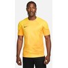 Vyriški marškinėliai Nike Dri-FIT Adv Gardien IV GK Jsyss geltona DH7760 719 (M)