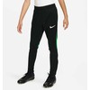 Nike Academy Pro kelnės, skirtos jaunimui DH9325 011