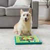 Outward Hound Nina Ottosson Šunų Multipuzzle lygis 4 - švietimo žaidimas šunims
