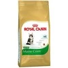 Royal Canin Maine Coon Kitten 400g