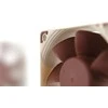 Noctua NF-S12A FLX Kompiuterio dėklas Fan 12 cm rusvai gelsvas, Brown