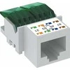 OBO Bettermann Bettermann elektroninis modulis RJ45 cat.5E neprižiūrimas ASM-C5 (6117337)