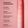 Dantų šepetėlis Oclean "Flow Find Duo Sonic" šepetėlių rinkinys raudona - mėlyna 2 vnt.