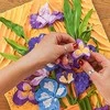Plastilinas Okto Irises ETC10007