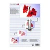 Olympia Olympia laminavimo plėvelės DIN A3, 50 vnt 80 mic