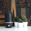 Nepriskirta Purškiantis difuzorius Innobiz ONA