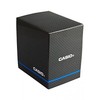 Laikrodis CASIO LW-203-4AVEF