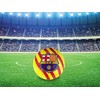 Futbolo kamuolys FC Barcelona Catalunya