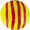 Futbolo kamuolys FC Barcelona Catalunya
