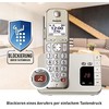 Panasonic KX-TGE262GN šampanas