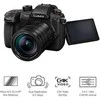 Panasonic Lumix G GH5 II (DC-GH5M2L) + Panasonic LEICA DG VARIO-ELMARIT 12-60mm / F2.8-4.0 ASPH. / POWER OIS (H-ES12060)