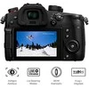 Panasonic Lumix G GH5 II (DC-GH5M2M) + Panasonic LUMIX G Vario 12-60mm f/3.5-5.6 Asph. Power OIS (H-FS12060) (Juodas)