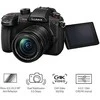 Panasonic Lumix G GH5 II (DC-GH5M2M) + Panasonic LUMIX G Vario 12-60mm f/3.5-5.6 Asph. Power OIS (H-FS12060) (Juodas)