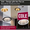 Lubinis šviestuvas Paulmann LUBŲ PROŽEKTORIUS COLE Baltas / SIDABRINIS MATINIS