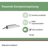 Sieninis šviestuvas Paulmann Plug &amp; Shine maitinimo šaltinis 150W