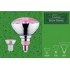 Paulmann LED šaltinis Plant R50 E14 6.5W 230V pro augimą