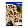 Pelikan piešimo bloknotas A3 20 lapų C3/20 FSC-Mix