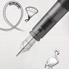 Parker Vector XL Metallic Judas C.C. Fountain Pen M