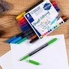 Staedtler 3004, Daugiaspalvis, 12 vnt., Tušinukas + Plunksnakotis
