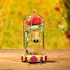 Pantasy konstrukciniai blokeliai The Little Prince Rose Swing 234 vnt