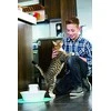 PetSafe Drinkwell Avalon fontanėlis girdykla šunims ir katėms 2L