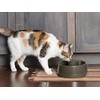 Petsafe Drinkwell Current Replacement Charcoal Filter anglies filtrai skriti Current girdykloms-fontanėliams 2vnt