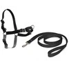 Petsafe Easy Walk® Harness XL juodos petnešos (apimtis 86-117cm)