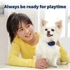 Petsafe 3 Volt RFA-188 elementas dresūrai skirtiems ankakliams