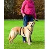 TRIXIE Panic petnešos su apsauga nuo nuo pabėgimo, L-XL 75-100 cm-25 mm, juodos