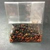 Peugeot Pepper grinder, 22 cm, juodas, U-Select, Paris