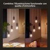 Philips Hue Baltas Ambiance išmanioji LED lemputė 7W E27 Zigbee, Bluetooth