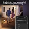 Philips Hue Stulpinis lauko šviestuvas Turaco (Baltos šviesos)