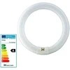Philips TL-E Super 80 TL-E 40W/840 1CT/12 - 40 W - G10q - C-T9 - A - 13000 h - 3200 lm
