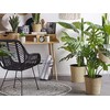 Beliani Dirbtinis motiejukas 113 cm MONSTERA PLANT