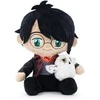 Play By Play Harry Potter - Harry Potter &amp; Hedwig plush toy 25cm