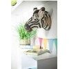 PlayMais NAMAI, ZEBRAS 9000