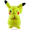 Jazwares POKEMON Pliušinis Pokemonas, 20 cm