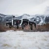 Filtrai PolarPro Mavic Air 3 pakuočių standartinė serija